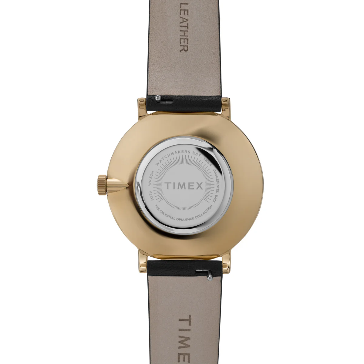 Timex Multifunctonal Women's Analog Black Dial Coloured Quartz Watch, Round Dial with 38 mm Case width - TW2U41200UJ - Image 4
