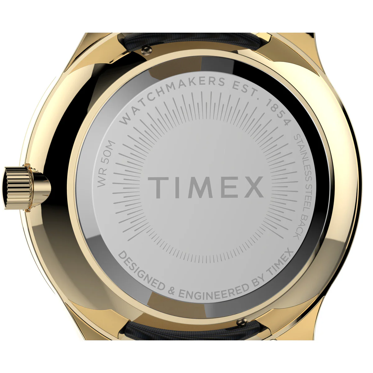 Timex 3 Hands Women's Analog Blue Dial Coloured Quartz Watch, Round Dial with 32 mm Case width - TW2V01200UJ - Image 4